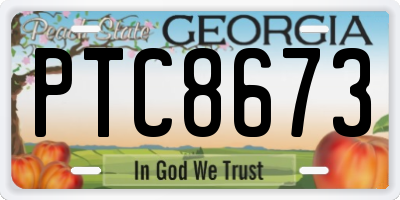 GA license plate PTC8673