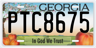 GA license plate PTC8675