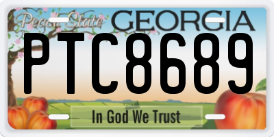GA license plate PTC8689
