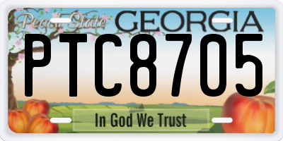 GA license plate PTC8705