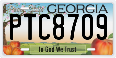 GA license plate PTC8709