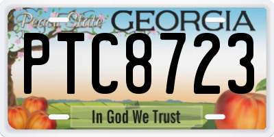 GA license plate PTC8723
