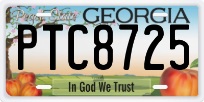GA license plate PTC8725