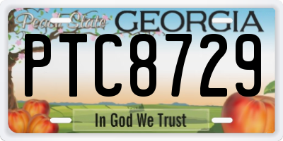 GA license plate PTC8729