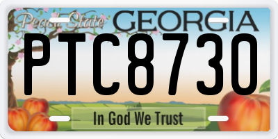 GA license plate PTC8730