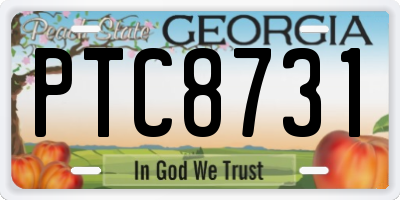 GA license plate PTC8731