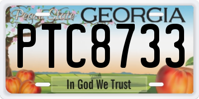 GA license plate PTC8733