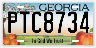 GA license plate PTC8734