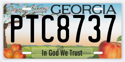 GA license plate PTC8737