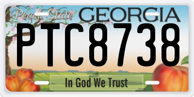 GA license plate PTC8738