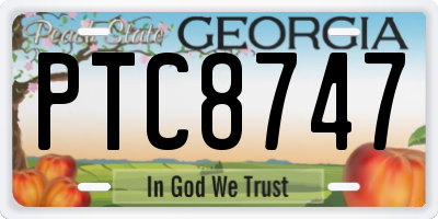 GA license plate PTC8747
