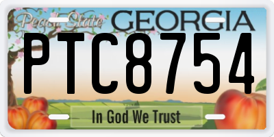 GA license plate PTC8754