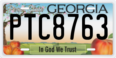 GA license plate PTC8763
