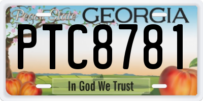 GA license plate PTC8781