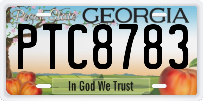 GA license plate PTC8783