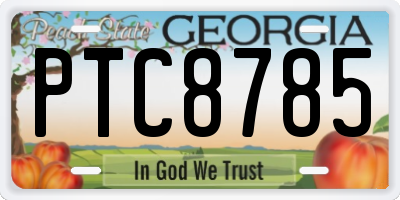 GA license plate PTC8785