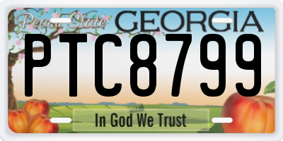 GA license plate PTC8799