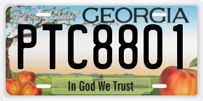 GA license plate PTC8801