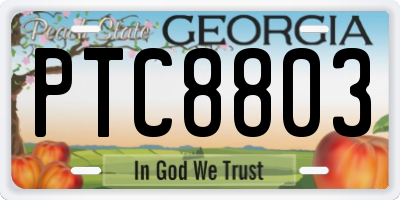 GA license plate PTC8803