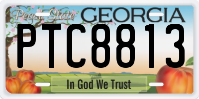 GA license plate PTC8813