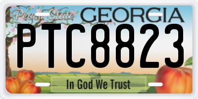 GA license plate PTC8823