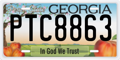 GA license plate PTC8863