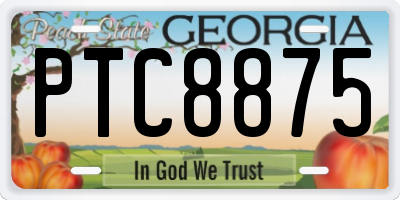 GA license plate PTC8875