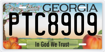 GA license plate PTC8909