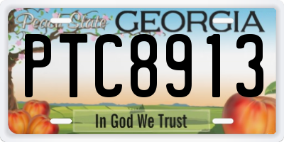 GA license plate PTC8913