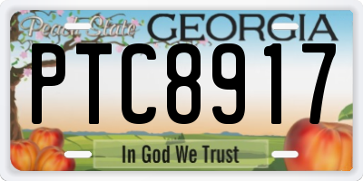 GA license plate PTC8917