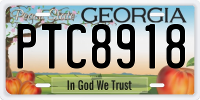 GA license plate PTC8918