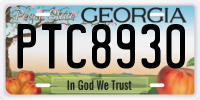 GA license plate PTC8930