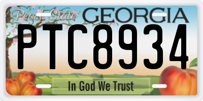 GA license plate PTC8934