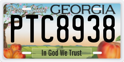 GA license plate PTC8938