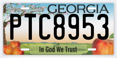 GA license plate PTC8953