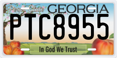 GA license plate PTC8955
