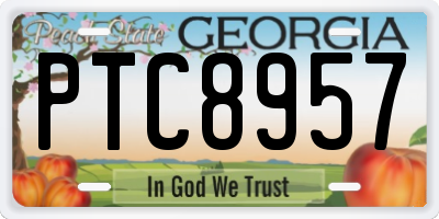 GA license plate PTC8957