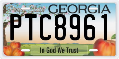 GA license plate PTC8961