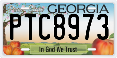 GA license plate PTC8973