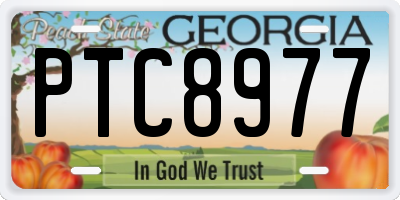 GA license plate PTC8977