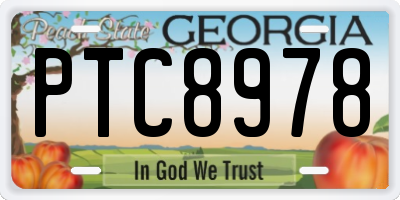 GA license plate PTC8978