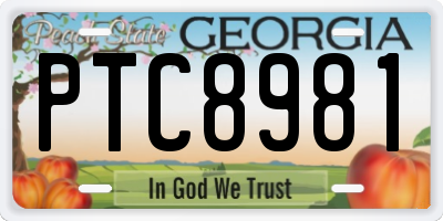 GA license plate PTC8981