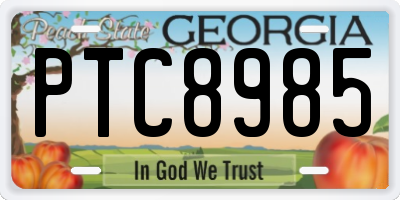 GA license plate PTC8985
