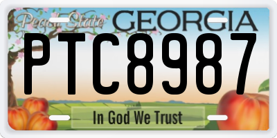 GA license plate PTC8987
