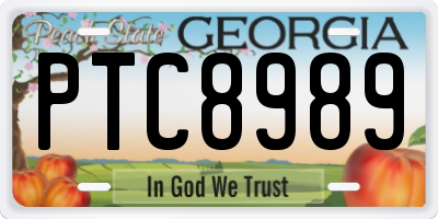 GA license plate PTC8989