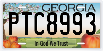 GA license plate PTC8993