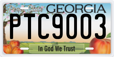 GA license plate PTC9003