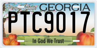 GA license plate PTC9017
