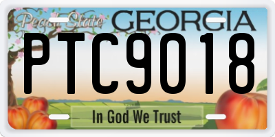 GA license plate PTC9018