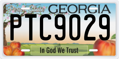 GA license plate PTC9029